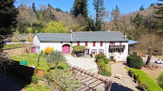 Acheter Prestige 490 m2 Carcassonne