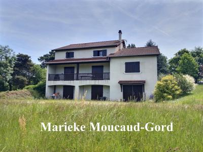 Acheter Maison 295 m2 Beauzac