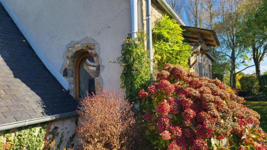 Acheter Maison Lanmeur 292000 euros