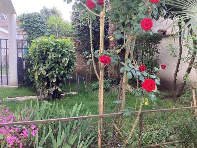 Annonce Vente 5 pi�ces Appartement Dax 40