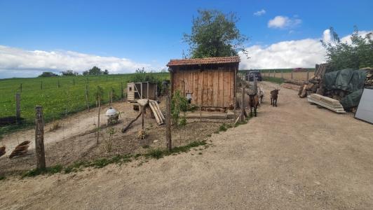 Acheter Terrain Soultz-sous-forets 35000 euros