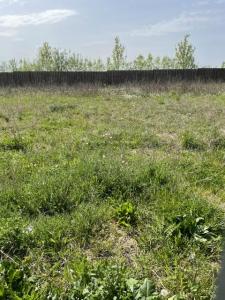 For sale Mitry-mory 291 m2 Seine et marne (77290) photo 3