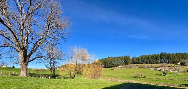 Annonce Vente 6 pi�ces Maison  69