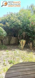 For sale Grabels La Valsi�re 1 room 23 m2 Herault (34790) photo 3