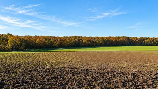 For sale Jeu-les-bois 32767 m2 Indre (36120) photo 0