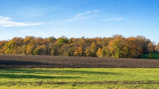 Annonce Vente Terrain Jeu-les-bois 36