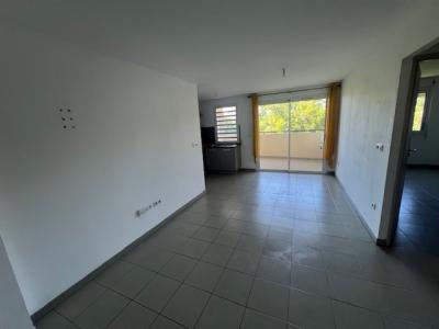 Louer Appartement 44 m2 Saint-denis