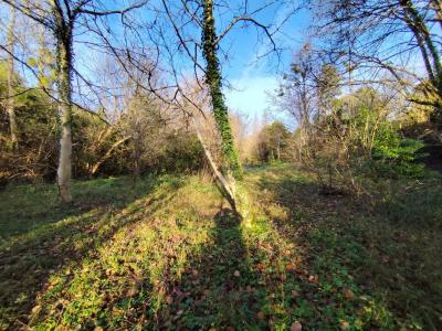 For sale Fargues-saint-hilaire 90 m2 Gironde (33370) photo 1