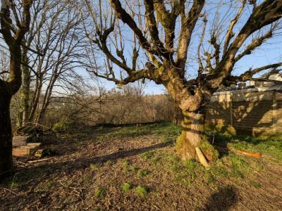 For sale Bonnetan 90 m2 Gironde (33370) photo 1