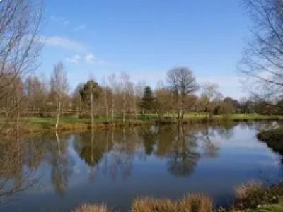 Acheter Terrain Merdrignac Cotes d'armor