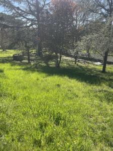 For sale Gratentour 732 m2 Haute garonne (31150) photo 0