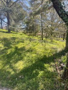 Acheter Terrain 732 m2 Gratentour
