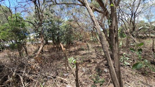 For sale Bouillante 650 m2 Guadeloupe (97125) photo 2