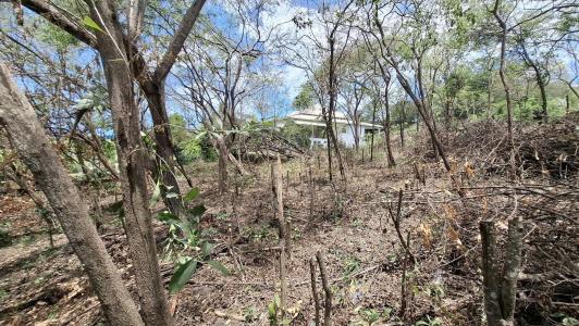 For sale Bouillante 650 m2 Guadeloupe (97125) photo 4