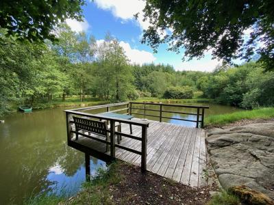 Annonce Vente Domaine forestier Vire 14