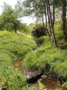Acheter Domaine forestier 32767 m2 Vire