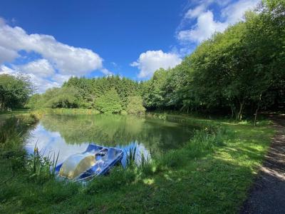 Acheter Domaine forestier Vire 390000 euros