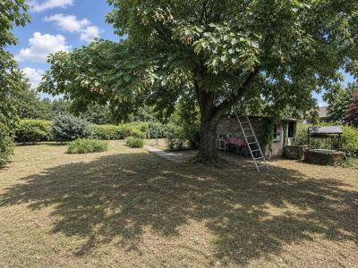 Annonce Vente 3 pi�ces Maison Saint-christophe-en-bazelle 36