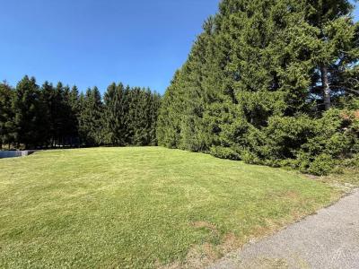 Acheter Terrain 989 m2 Mouthe