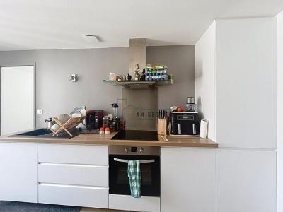Annonce Location 2 pi�ces Appartement Limoges 87