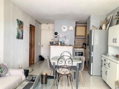For rent Cagnes-sur-mer 2 rooms 37 m2 Alpes Maritimes (06800) photo 1