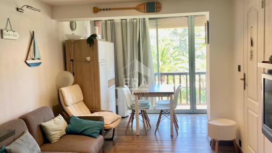 For rent Cagnes-sur-mer 2 rooms 30 m2 Alpes Maritimes (06800) photo 1