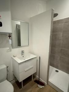 Louer Appartement Lyon-3eme-arrondissement Rhone