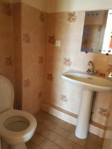 For rent Agde 2 rooms 30 m2 Herault (34300) photo 3
