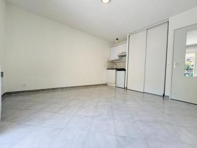 For rent Nice 1 room 21 m2 Alpes Maritimes (06000) photo 1