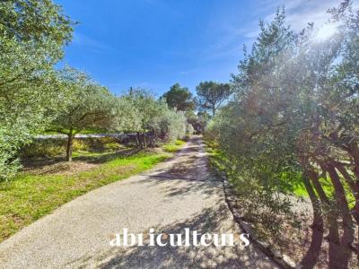 For sale Cheval-blanc 5 rooms 155 m2 Vaucluse (84460) photo 3