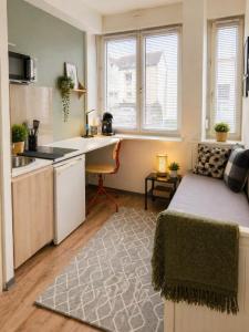 For rent Strasbourg 1 room 15 m2 Bas rhin (67200) photo 0