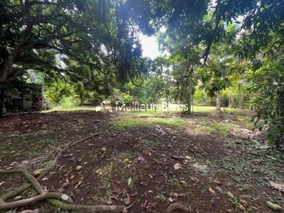 Annonce Vente Terrain Baie-mahault 971