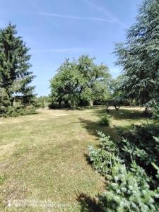 Annonce Vente 7 pi�ces Maison Montoire-sur-le-loir 41