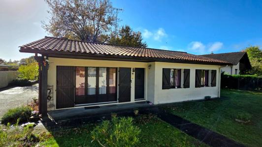 Annonce Vente 5 pi�ces Maison Lege-cap-ferret 33