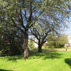 Acheter Maison 180 m2 Fontenay-le-comte