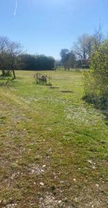 For sale Pizou 5 rooms 118 m2 Dordogne (24700) photo 3