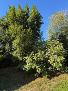 For sale Saint-loubes 4 rooms 82 m2 Gironde (33450) photo 3