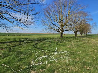 For sale Allonnes LES-VILLAGES-VOVEENS 6 rooms 152 m2 Eure et loir (28150) photo 1