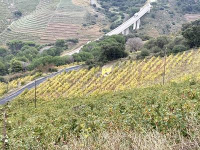 Annonce Vente Terrain Collioure 66