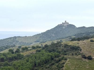 Acheter Terrain Collioure Pyrenees orientales