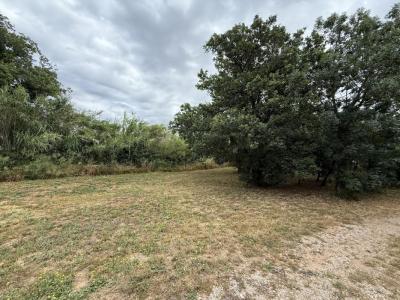 Annonce Vente Terrain Castelnou 66