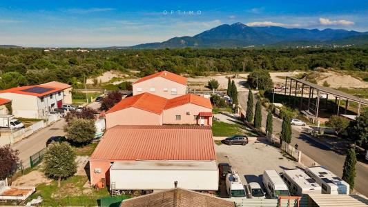 Acheter Parking Ceret 393000 euros