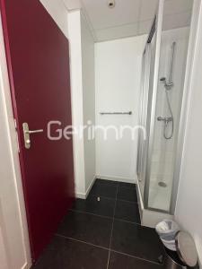 Acheter Appartement Grenoble 59000 euros