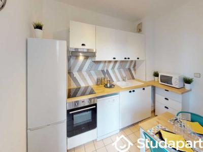 Louer Appartement Toulouse 520 euros