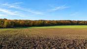 For sale Land Jeu-les-bois  32767 m2