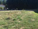 For sale Land Marsas  605 m2