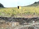 For sale Land Collioure  7500 m2