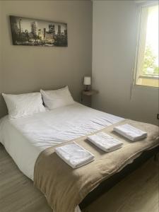 Louer Appartement Toulouse 747 euros