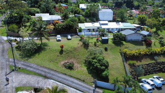 Acheter Maison Gros-morne Martinique