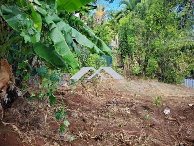 For sale Saint-leu 380 m2 Reunion (97424) photo 2